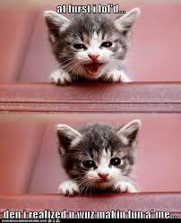 emo kitty memes derpypets - Derpy Pets! via Relatably.com
