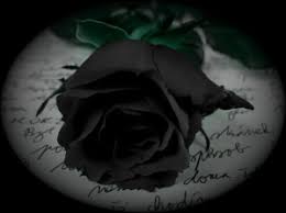 Résultat de recherche d'images pour "rose noir"