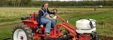 Image result for Agricultural Economics and Sustainable Development  girl