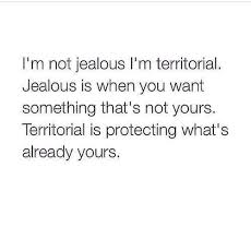 I&#39;m not jealous, I&#39;m territorial!! | Quotes/Memes | Pinterest ... via Relatably.com