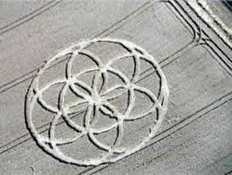 The Truth About Crop Circles.