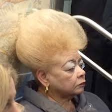 Image result for donald trump hurricane toupee images