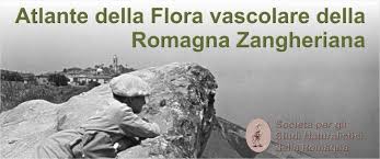 Atlante della Flora vascolare della Romagna Zangheriana · iNaturalist