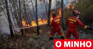 Governo reconhece como catastrófe natural fogos de Vila de Rei e Mação