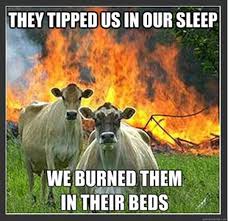 evil-cows.jpg via Relatably.com