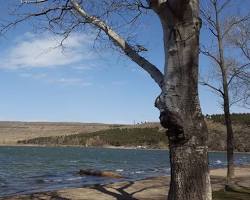 Image of بحيرة ليزي في تبليسي