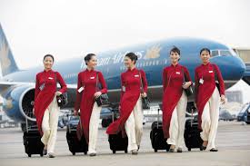 Kết quả hình ảnh cho Hãng hàng không quốc gia Việt Nam (Vietnam Airlines)