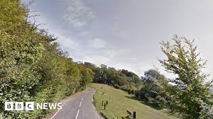 Caterham dog attack: woman killed by pack of dogs and a second mauled