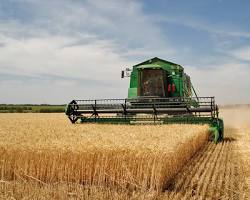 Image of Harvesting crops