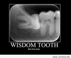 Wisdom-tooth.jpg via Relatably.com