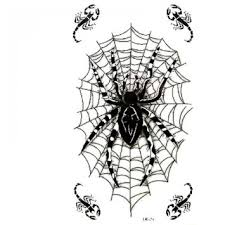 Image result for TOXIC SPIDER WEB
