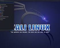Obraz: Kali Linux