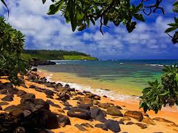هاواي جزيرة الاحلام  Images?q=tbn:ANd9GcRfaDkrYzU6MhNc33RHU1Co4FfMvr23QDG3rco-wVLM6D39kbzd