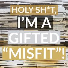 Holy Shit I'm a Gifted Misfit Audiobook