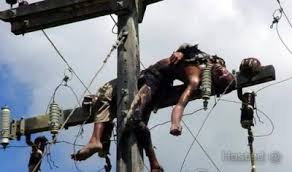 Image result for high tension wire pic