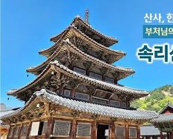 충북 보은군 여행지 명소 속리산 법주사 정이품송, AI로 생성