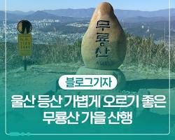 울산 무룡산 야경 등산로 전경, AI로 생성