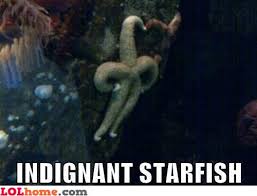 GAGBAY - Indignant Starfish via Relatably.com