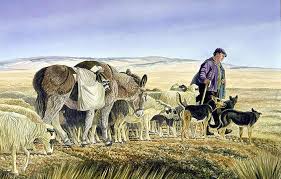 Resultado de imagen de el pastor con sus ovejas