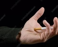 person crushing a cigarette
