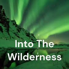 Into the Wilderness with Will Wilson