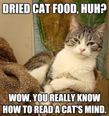 Disdainful Cat memes | quickmeme via Relatably.com