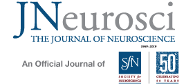 Granger Causality Analysis in Neuroscience and Neuroimaging ...