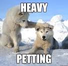 Meaning of heavy petting