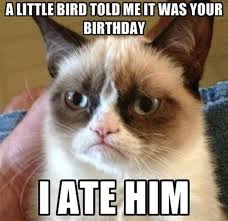 Image result for funny birthday images