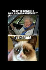 Grumpy Cat on Pinterest | Angry Cat, Grumpy Cat Meme and Cats via Relatably.com