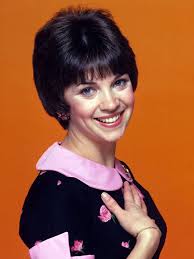 cindy - fans-of-cindy-williams Photo - cindy-fans-of-cindy-williams-23583403-540-720