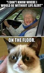 Grumpy cat memes on Pinterest | Grumpy Cat, Grumpy Cat Meme and ... via Relatably.com
