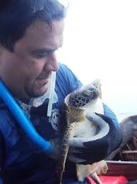 One turtle; One life... submitted by Hector Barrios-Garrido. - 56DSC00502-med