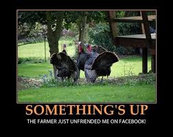 35 Top Funny Thanksgiving Memes via Relatably.com