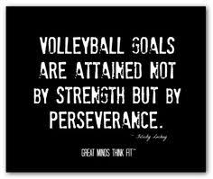 Volleyball quotes :) on Pinterest | Volleyball, Volleyball Players ... via Relatably.com