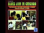 Blues Jam In Chicago V.1