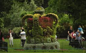 Image result for the gardens of buckingham palace