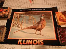 Image result for Orange 1990 Illinois State of