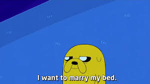 Image result for i want to marry my bed