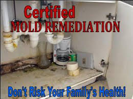 Image result for mold certified pictures