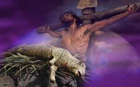 Image result for images of the lamb slain before the earth began
