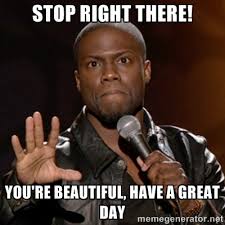 Stop right there! You&#39;re beautiful, have a great day - Kevin Hart ... via Relatably.com