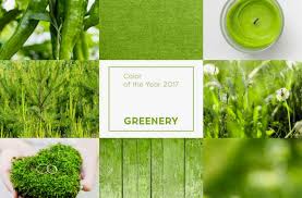 Image result for find rooms decorated in Pantone colour of the year greenery