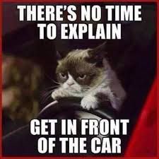 I don&#39;t think so!! grumpy cat memes - Cat memes - kitty cat humor ... via Relatably.com