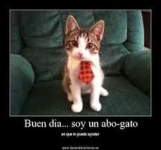 Spanish meme website! | Teaching Professions Vocab | Pinterest ... via Relatably.com