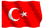 Risultati immagini per turchia bandiera