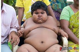 Image result for images of fat kids