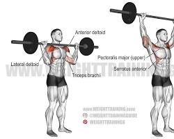 Image of Overhead press exercise