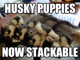 Husky Puppies now stackable - cute huskies - quickmeme via Relatably.com