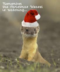 Image result for weasel merry christmas